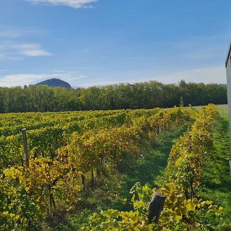 Pop Tiny House Balaton Lägenhet Kaptalantoti Exteriör bild